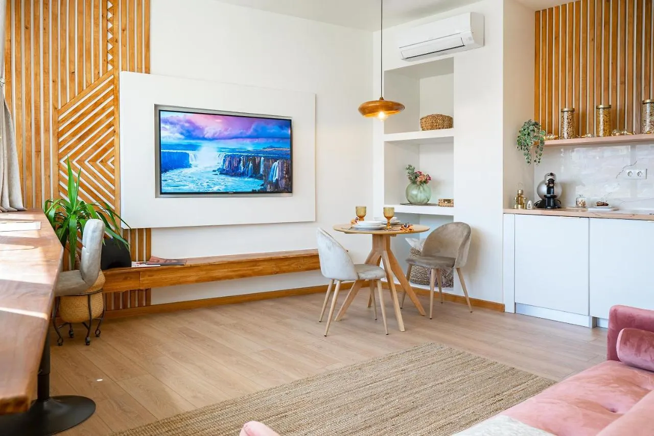 Coimbra Premium Downtown Apartment